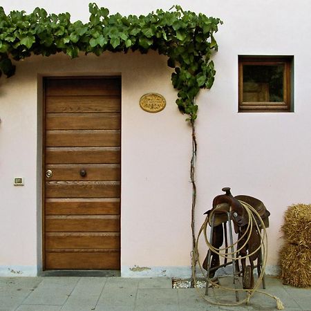 Appartamenti Agriturismo La Canonica チェルタルド エクステリア 写真