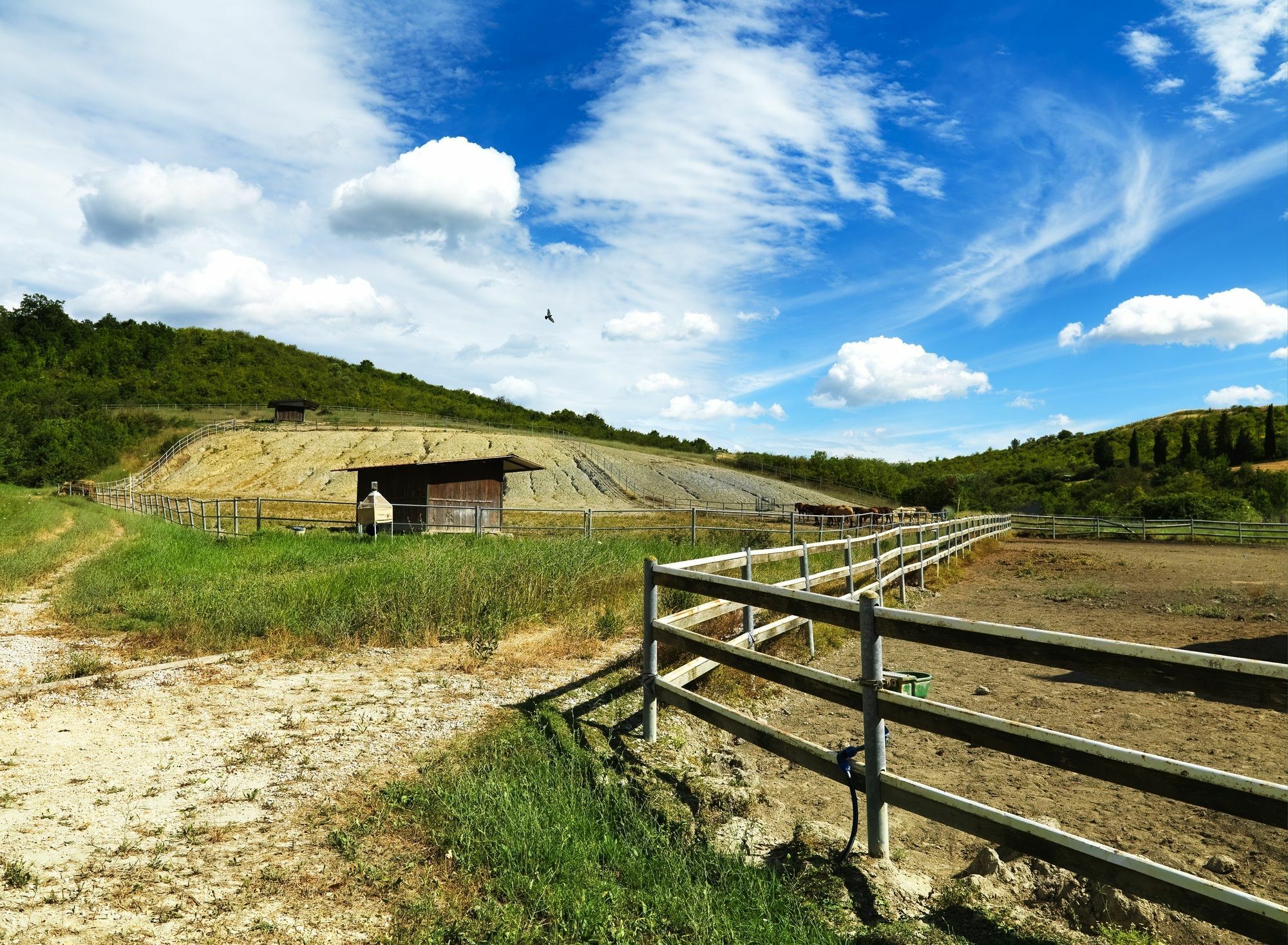 Appartamenti Agriturismo La Canonica チェルタルド エクステリア 写真